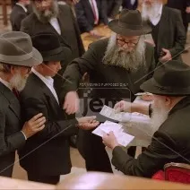 Rabbi Mendy Fellig